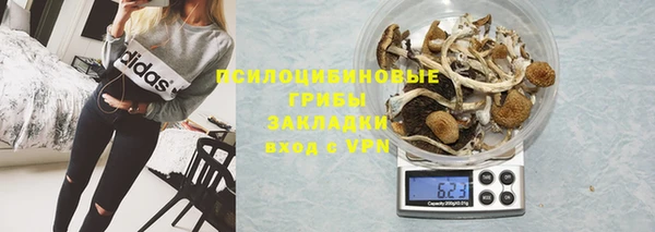 стаф Балахна
