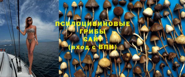 стаф Балахна