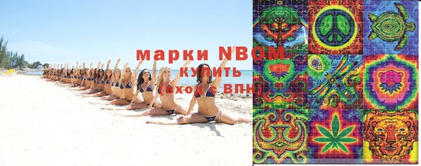 стаф Балахна