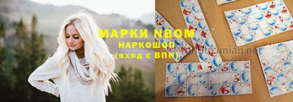 стаф Балахна