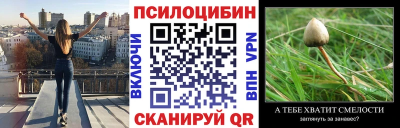 Псилоцибиновые грибы MAGIC MUSHROOMS  Мезень 